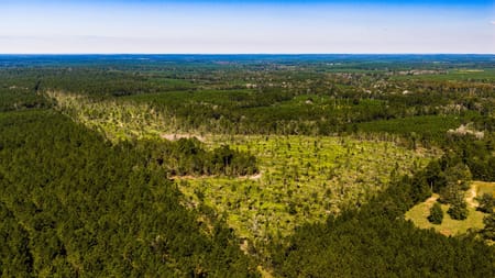 Livingston, TX 77351 Polk County