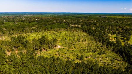 Livingston, TX 77351 Polk County
