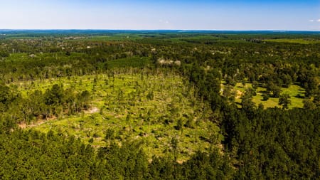 Livingston, TX 77351 Polk County