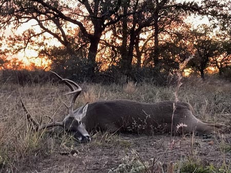 Richland Springs, TX 76871 San Saba County