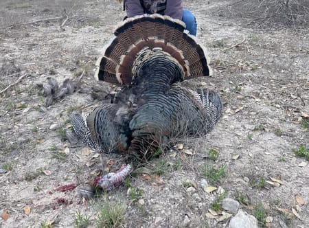 Richland Springs, TX 76871 San Saba County