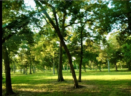 Highlands, TX 77562 Harris County
