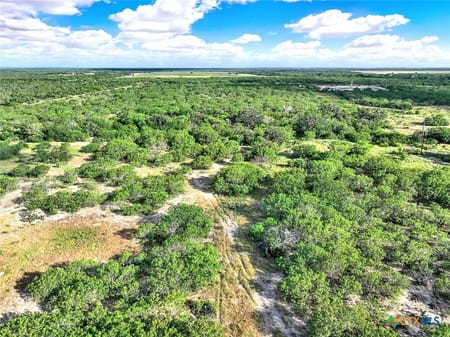 McCoy, TX 78113 Atascosa County