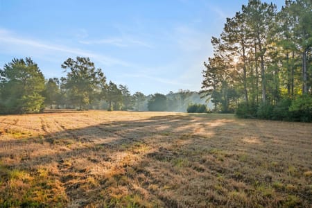 Seven Oaks, TX 77351 Polk County