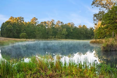 Seven Oaks, TX 77351 Polk County