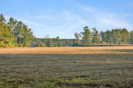 Seven Oaks, TX 77351 Polk County
