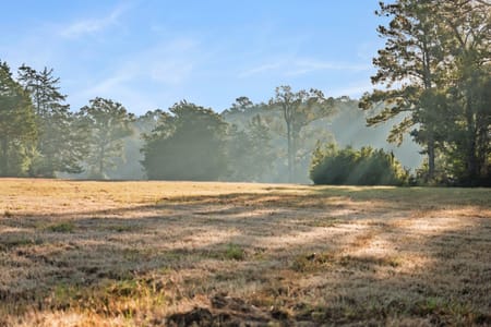 Seven Oaks, TX 77351 Polk County