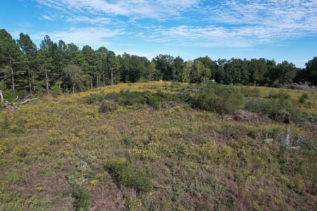 Fairfield, TX 75840 Freestone County