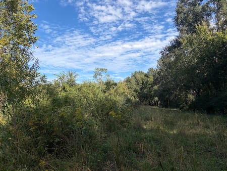 Fairfield, TX 75840 Freestone County