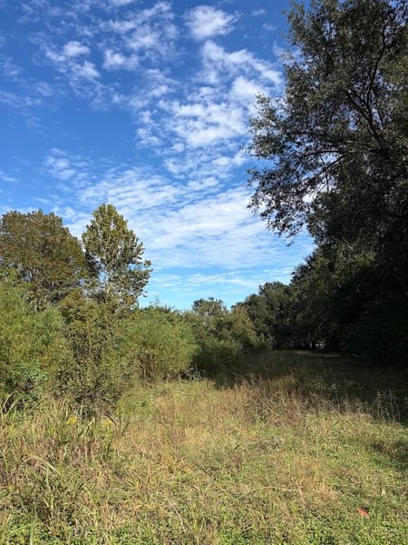 Fairfield, TX 75840 Freestone County