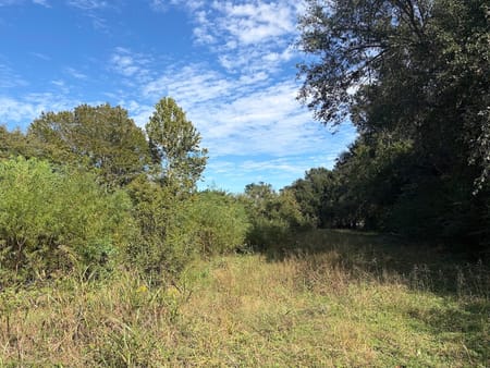 Fairfield, TX 75840 Freestone County