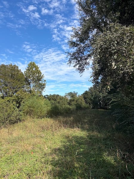 Fairfield, TX 75840 Freestone County