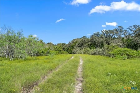 Flatonia, TX 78941 Fayette County