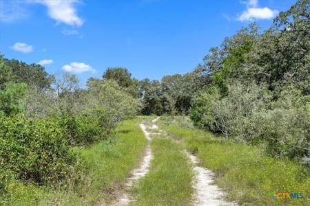 Flatonia, TX 78941 Fayette County