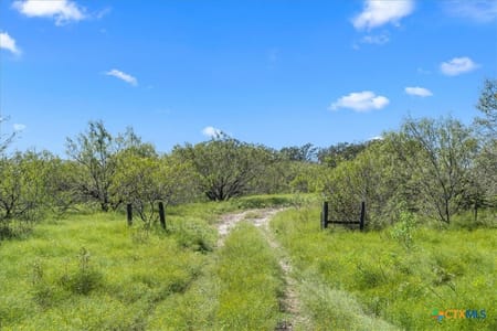 Flatonia, TX 78941 Fayette County