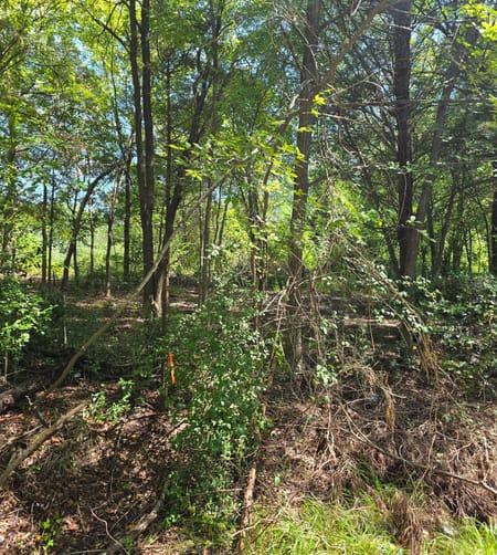 Mabank, TX 75156 Henderson County