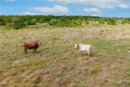 Burnet, TX 76550 Lampasas County