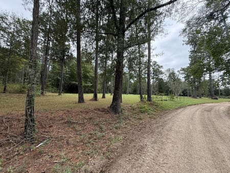 TX Newton County