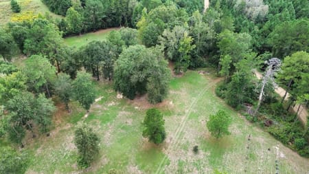 TX Newton County