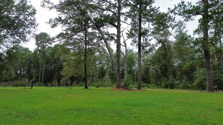 TX Newton County