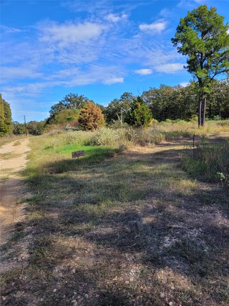 Blossom, TX 75416 Lamar County