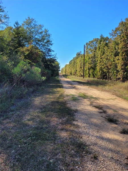 Blossom, TX 75416 Lamar County
