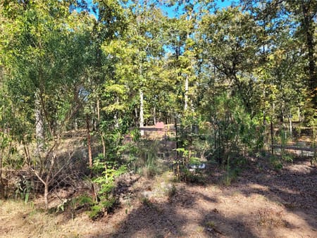 Blossom, TX 75416 Lamar County