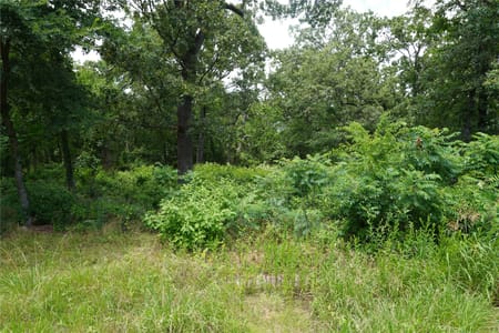 Sulphur Springs, TX 75482 Hopkins County