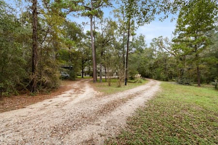 Plantersville, TX 77363 Grimes County