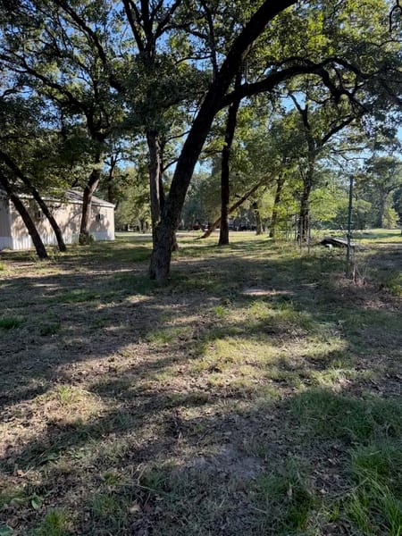 Wills Point, TX 75169 Kaufman County