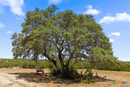 Blanco, TX 78606 Blanco County