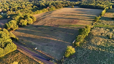 Quitman, TX 75783 Wood County