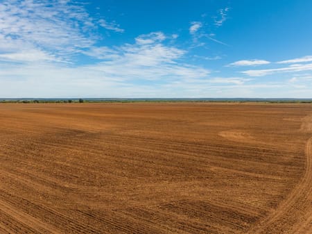 Ovalo, TX 79541 Taylor County