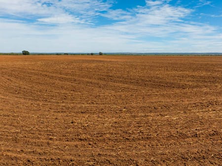 Ovalo, TX 79541 Taylor County