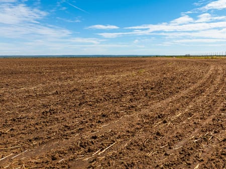 Ovalo, TX 79541 Taylor County