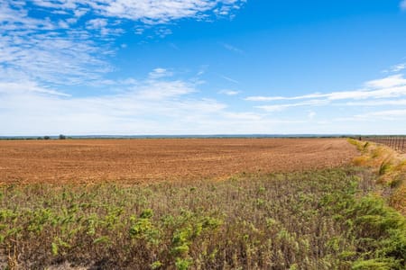 Ovalo, TX 79541 Taylor County