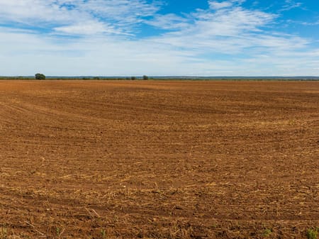 Ovalo, TX 79541 Taylor County