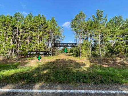Livingston, TX 77351 Polk County