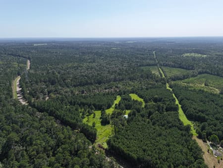 Livingston, TX 77351 Polk County