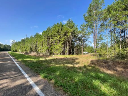 Livingston, TX 77351 Polk County
