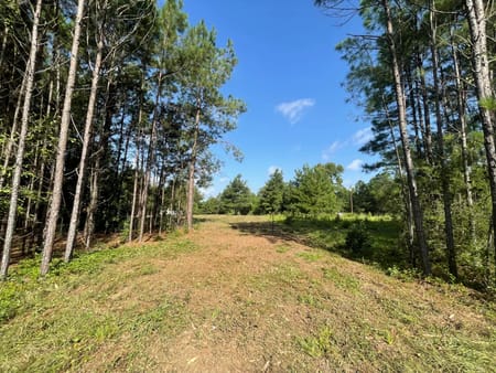 Livingston, TX 77351 Polk County