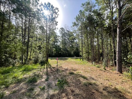 Livingston, TX 77351 Polk County