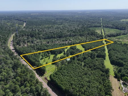 Livingston, TX 77351 Polk County