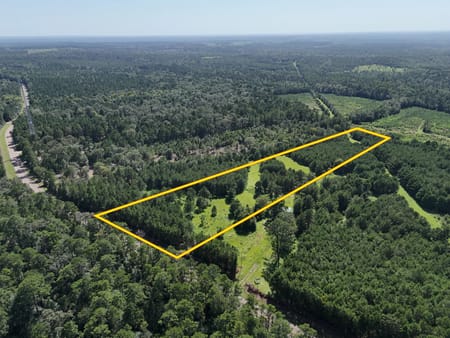 Livingston, TX 77351 Polk County