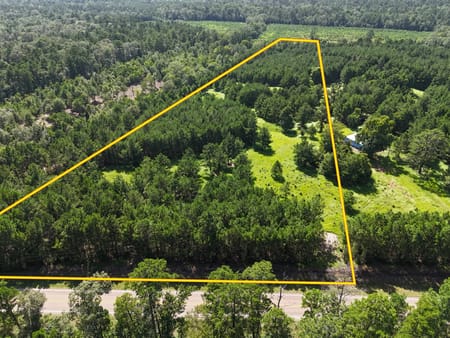 Livingston, TX 77351 Polk County