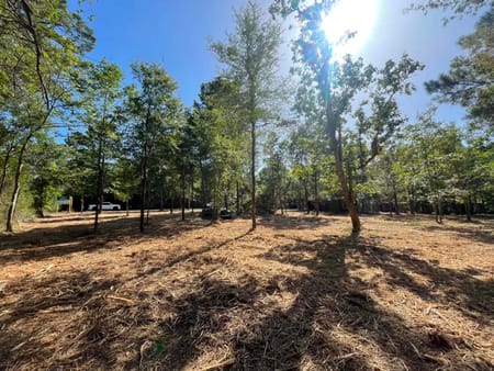 Livingston, TX 77351 Polk County