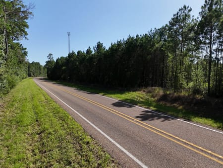 Livingston, TX 77351 Polk County