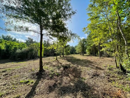 Livingston, TX 77351 Polk County