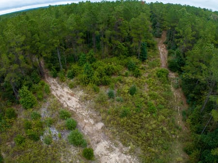 Woodville, TX 75979 Tyler County