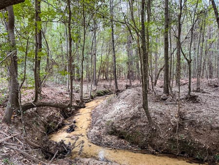 Woodville, TX 75979 Tyler County